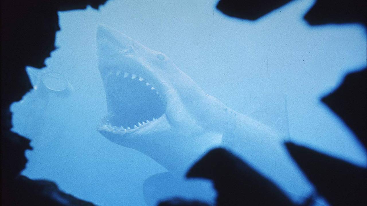 Tubarão Cinematographo MIS
