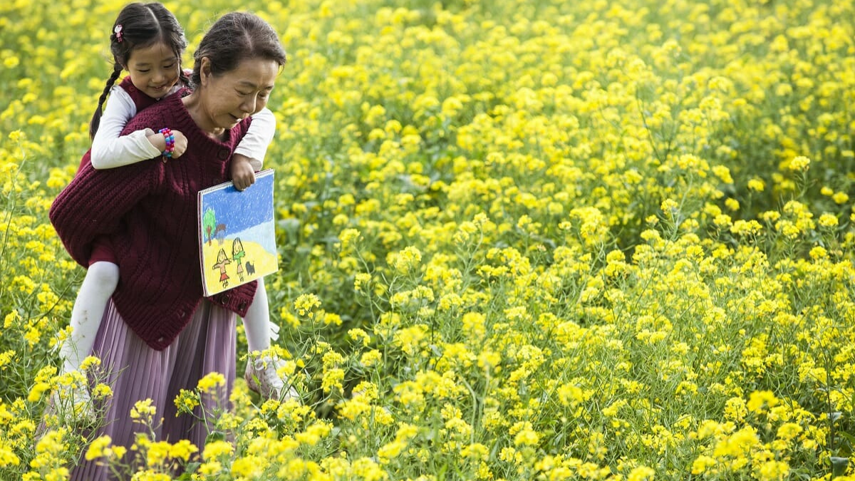 Canola