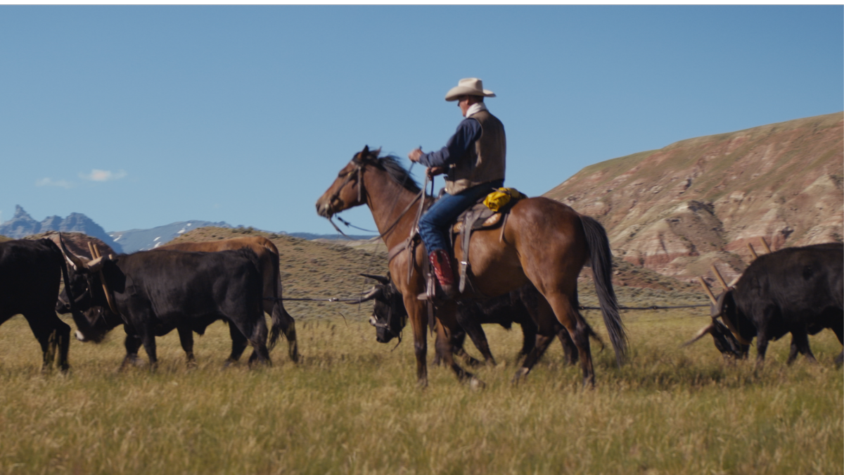 Meus Heróis Eram Cowboys