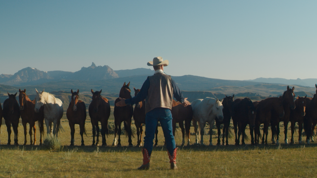 Meus Heróis Eram Cowboys