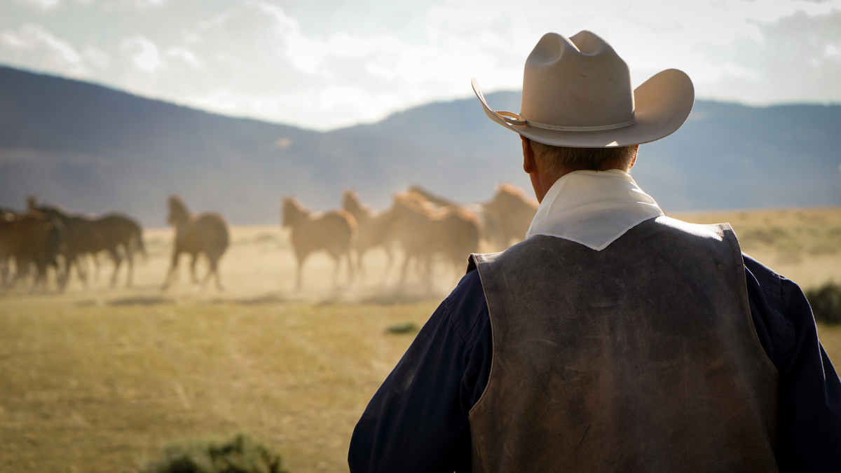 Meus Heróis Eram Cowboys