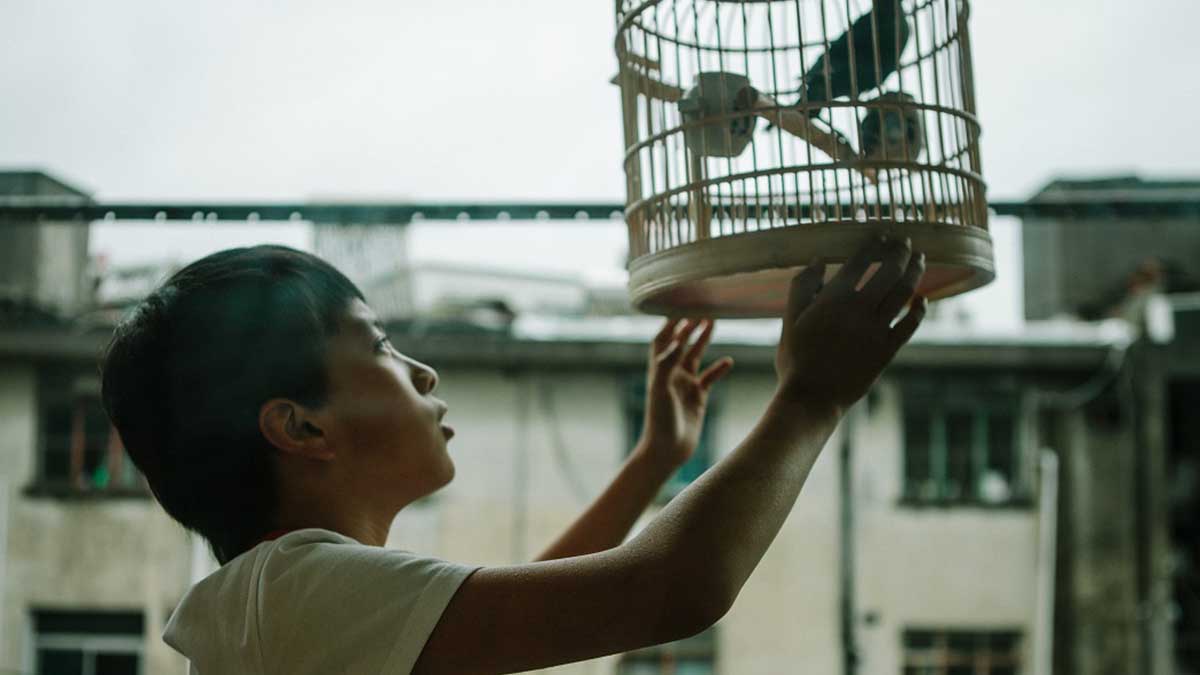 6ª Mostra de Cinema Chinês onde e como assistir aves suburbanas